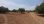 For Sale - Land 8000 m² in Sithonia, Chalkidiki