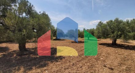 Продажа - Земельный участок 8000 m² на Ситонии (Халкидики)