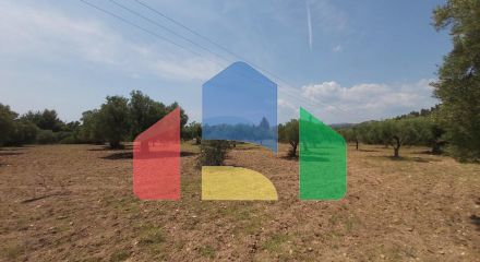 Продажа - Земельный участок 8000 m² на Ситонии (Халкидики)