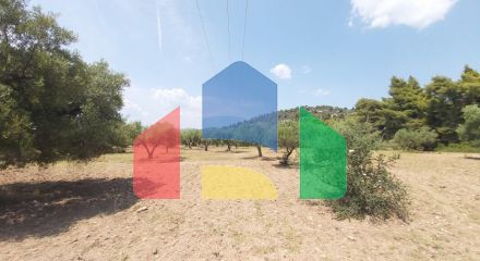 Продажа - Земельный участок 8000 m² на Ситонии (Халкидики)