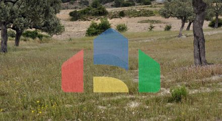 For Sale - Land 4000 m² in Sithonia, Chalkidiki