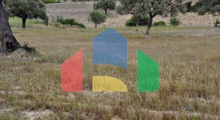 For Sale - Land 4000 m² in Sithonia, Chalkidiki