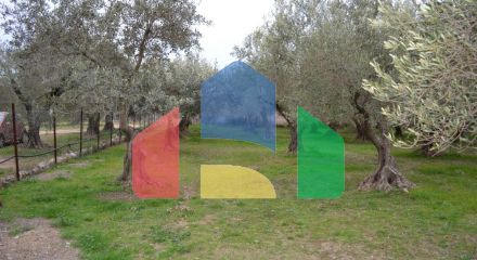 For Sale - Land 400 m² in Sithonia, Chalkidiki