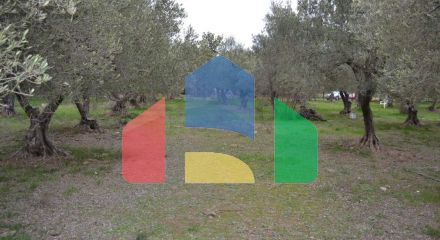 For Sale - Land 400 m² in Sithonia, Chalkidiki
