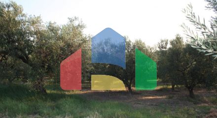 Продаж - Земельна ділянка 4625 m² на Сітонії (Халкідіки)