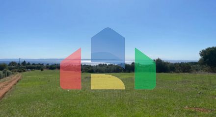 Продажа - Земельный участок 5000 m² на Ситонии (Халкидики)