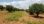 Продажа - Земельный участок 5078 m² на Ситонии (Халкидики)