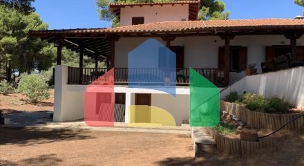 Продаж - Котедж 175 m² на Сітонії (Халкідіки)