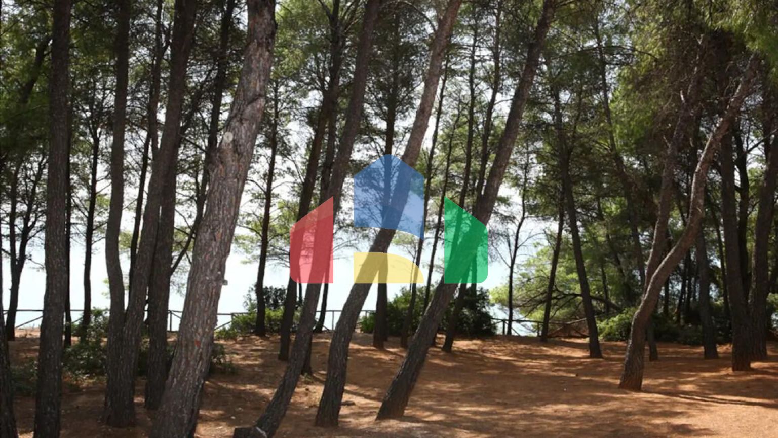 Продаж - Котедж 175 m² на Сітонії (Халкідіки)