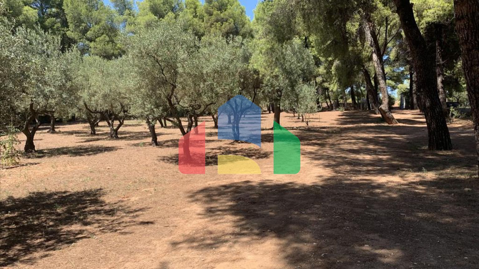 Продаж - Котедж 175 m² на Сітонії (Халкідіки)