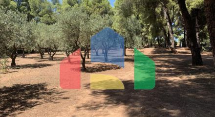 Продаж - Котедж 175 m² на Сітонії (Халкідіки)