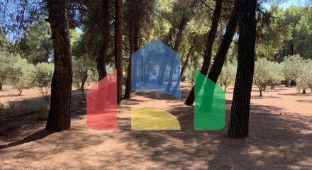 Продаж - Котедж 175 m² на Сітонії (Халкідіки)