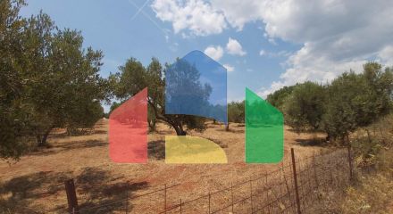 For Sale - Land 8300 m² in Sithonia, Chalkidiki