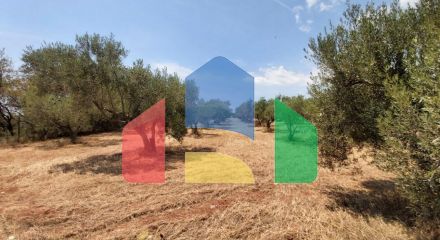 For Sale - Land 8300 m² in Sithonia, Chalkidiki