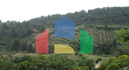 Продажа - Вилла 400 m² на Ситонии (Халкидики)