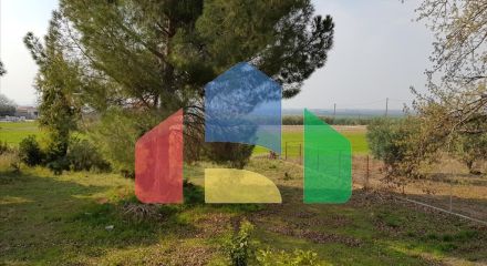 Продаж - Котедж 190 m² на Сітонії (Халкідіки)