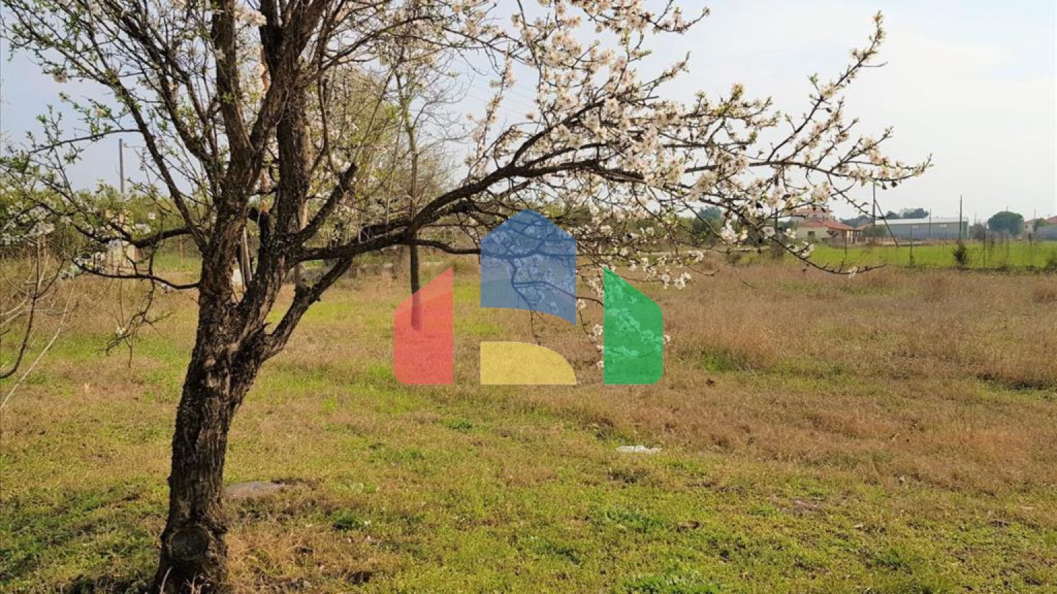 Продаж - Котедж 190 m² на Сітонії (Халкідіки)