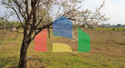 Продаж - Котедж 190 m² на Сітонії (Халкідіки)