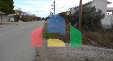 For Sale - Land 1800 m² in Sithonia, Chalkidiki