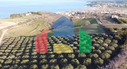 Продажа - Земельный участок 5625 m² на Ситонии (Халкидики)