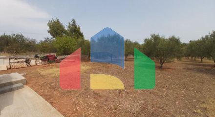 Продажа - Коттедж 400 m² на Ситонии (Халкидики)