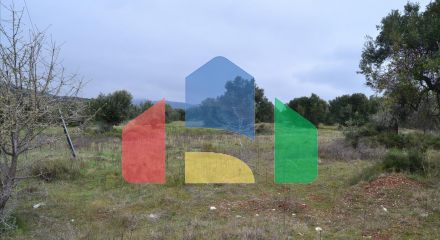 For Sale - Land 3500 m² in Sithonia, Chalkidiki