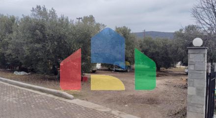 For Sale - Land 1305 m² in Sithonia, Chalkidiki