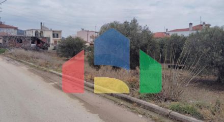 For Sale - Land 1305 m² in Sithonia, Chalkidiki