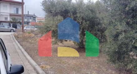 For Sale - Land 1305 m² in Sithonia, Chalkidiki