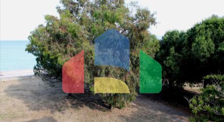 Продажа - Гостиница 730 m² на Ситонии (Халкидики) Продажа - Гостиница 730 m² на Ситонии (Халкидики)