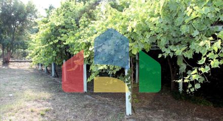 Продажа - Гостиница 730 m² на Ситонии (Халкидики) Продажа - Гостиница 730 m² на Ситонии (Халкидики)