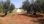 For Sale - Land 6400 m² in Sithonia, Chalkidiki