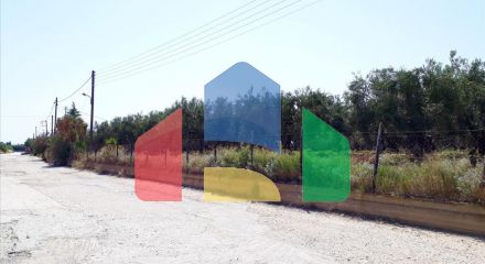 Продажа - Земельный участок 6400 m² на Ситонии (Халкидики)