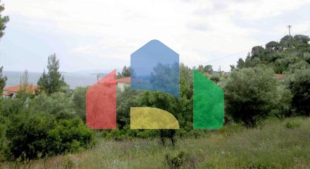 For Sale - Land 4000 m² in Sithonia, Chalkidiki