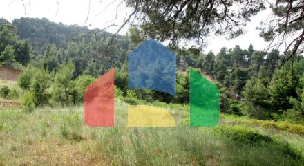 For Sale - Land 4000 m² in Sithonia, Chalkidiki