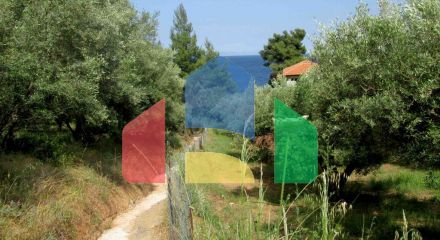 For Sale - Land 4000 m² in Sithonia, Chalkidiki