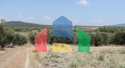 Продажа - Земельный участок 6915 m² на Ситонии (Халкидики)