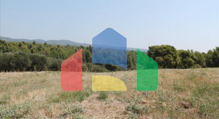 Продажа - Земельный участок 6915 m² на Ситонии (Халкидики)