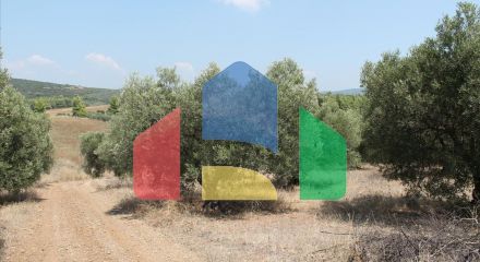 Продажа - Земельный участок 6915 m² на Ситонии (Халкидики)