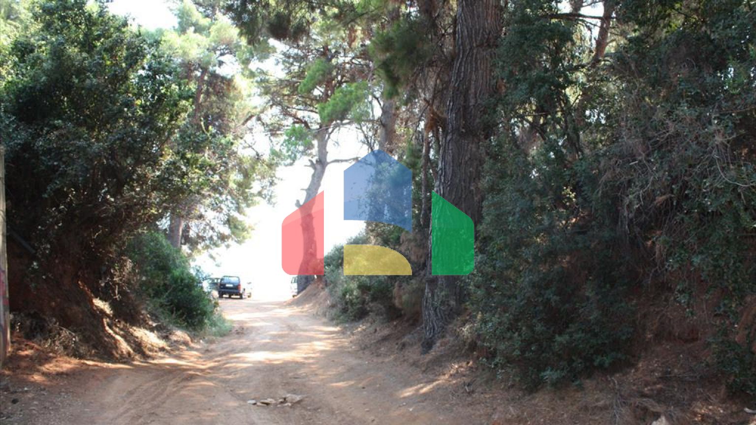 Продажа - Гостиница 580 m² на Ситонии (Халкидики)