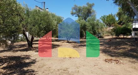 Продажа - Таунхаус 184 m² на Ситонии (Халкидики)