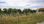 For Sale - Land 623 m² in Sithonia, Chalkidiki