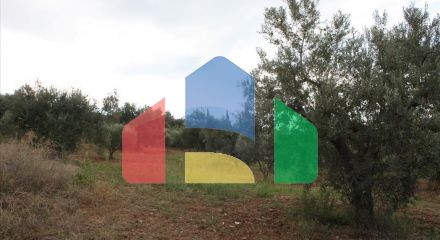 For Sale - Land 10800 m² in Sithonia, Chalkidiki