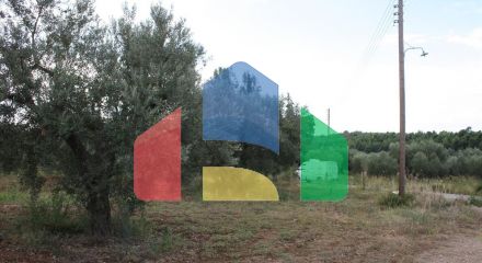 For Sale - Land 10800 m² in Sithonia, Chalkidiki