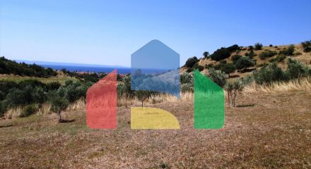 For Sale - Land 2479 m² in Sithonia, Chalkidiki