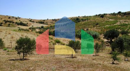 For Sale - Land 2479 m² in Sithonia, Chalkidiki