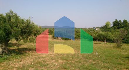 Продаж - Земельна ділянка 4589 m² на Сітонії (Халкідіки)