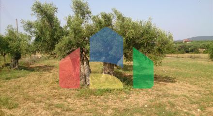 Продажа - Земельный участок 4589 m² на Ситонии (Халкидики)