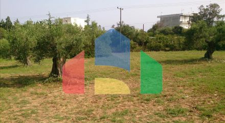 Продажа - Земельный участок 4589 m² на Ситонии (Халкидики)