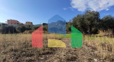 Продаж - Земельна ділянка 3700 m² на Сітонії (Халкідіки) Продаж - Земельна ділянка 3700 m² на Сітонії (Халкідіки)